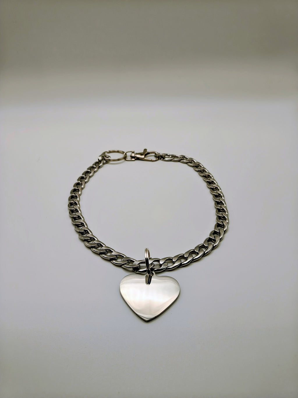 Custom Engraved Stainless Steel Pet Collar – Silver Chain and Tag