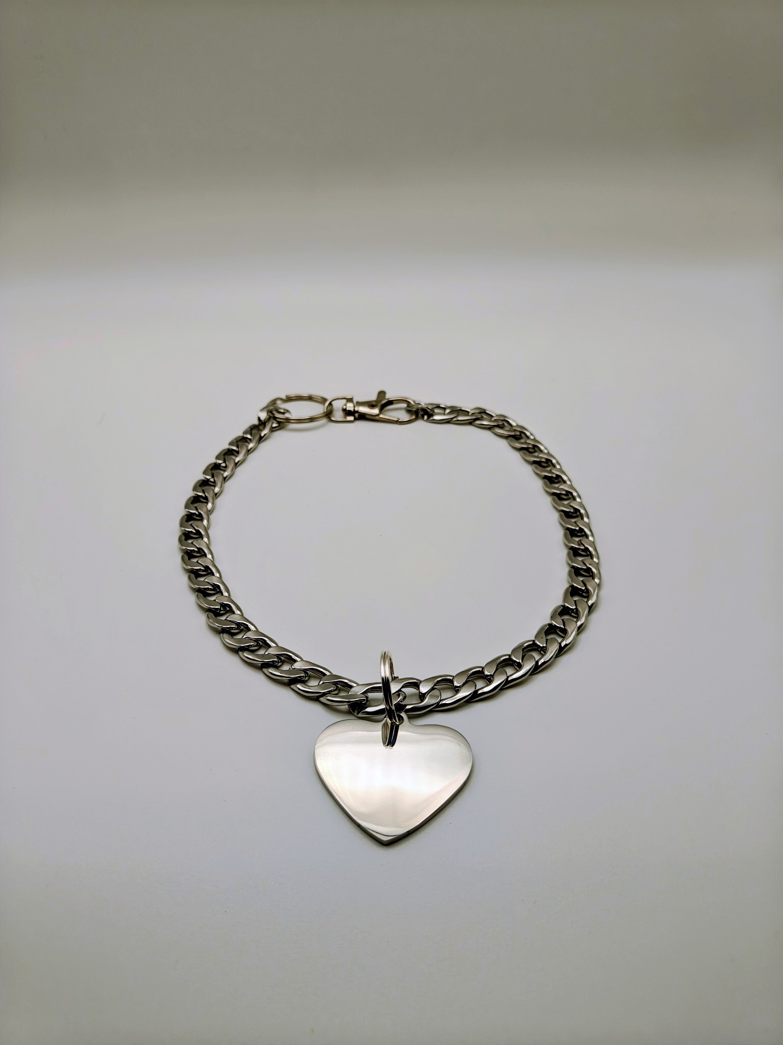 Custom Engraved Stainless Steel Pet Collar – Silver Chain and Tag
