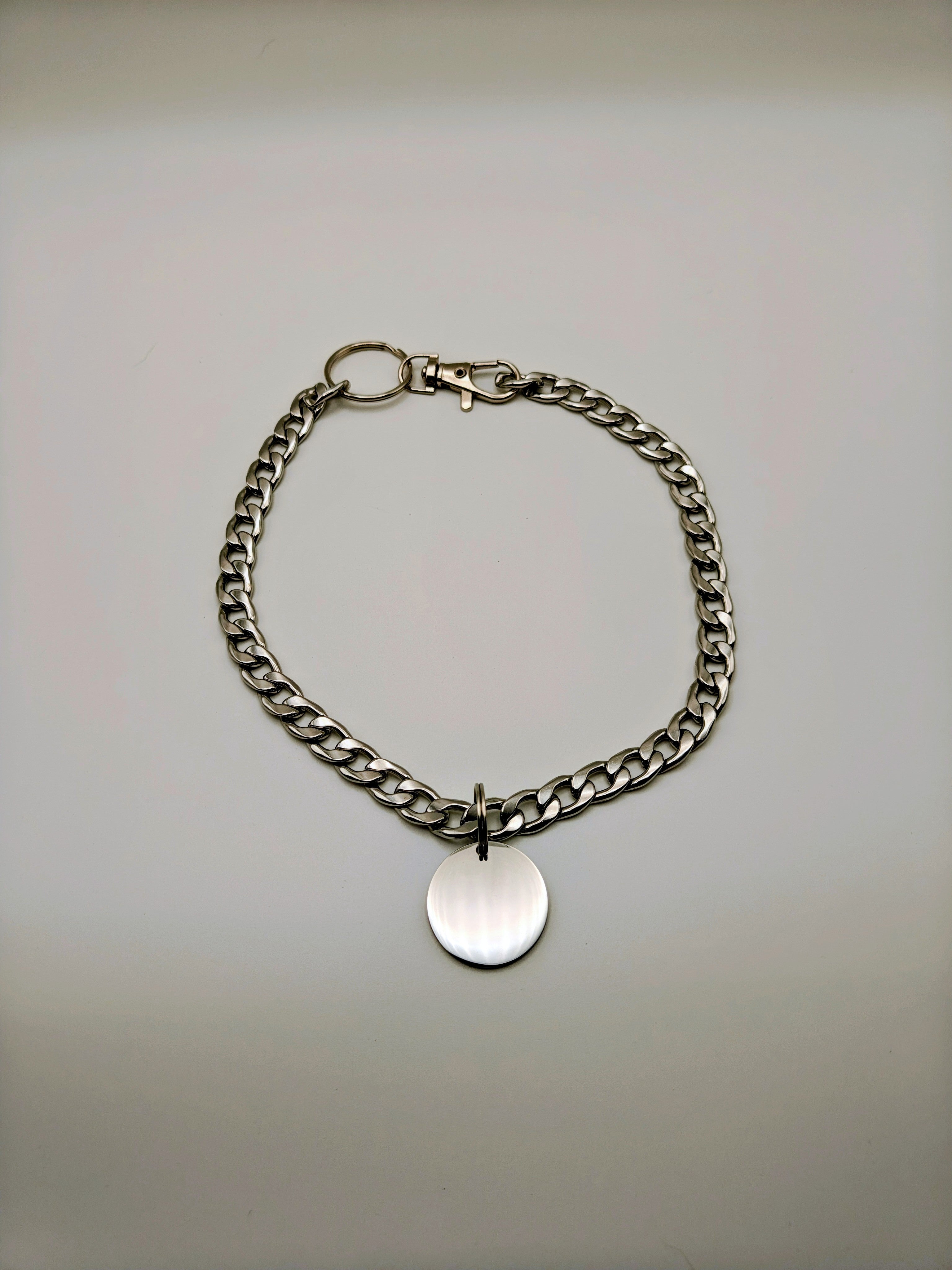 Custom Engraved Stainless Steel Pet Collar – Silver Chain and Tag