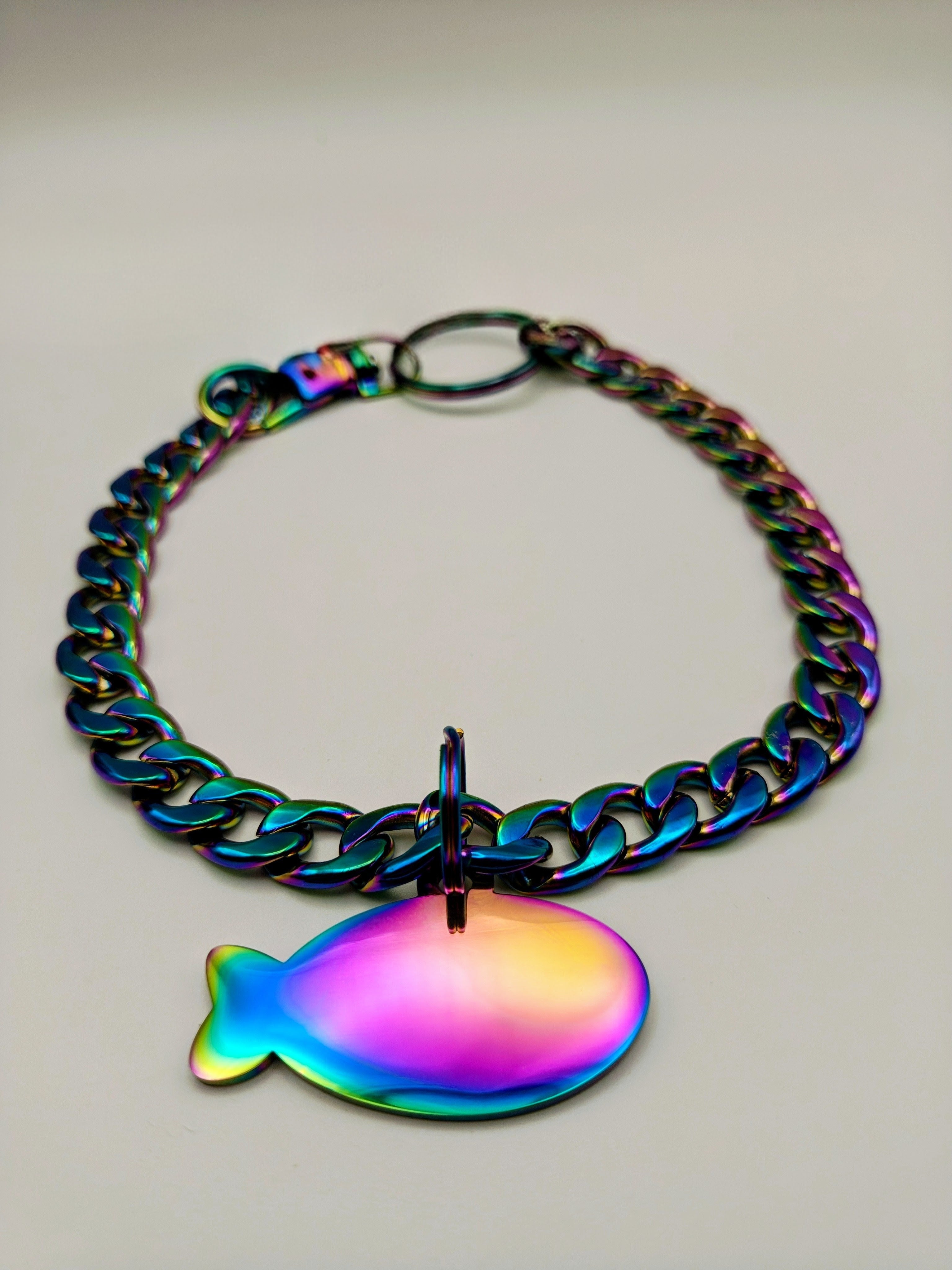 Custom Engraved Stainless Steel Dog Collar – Multicolor Chain and Tag