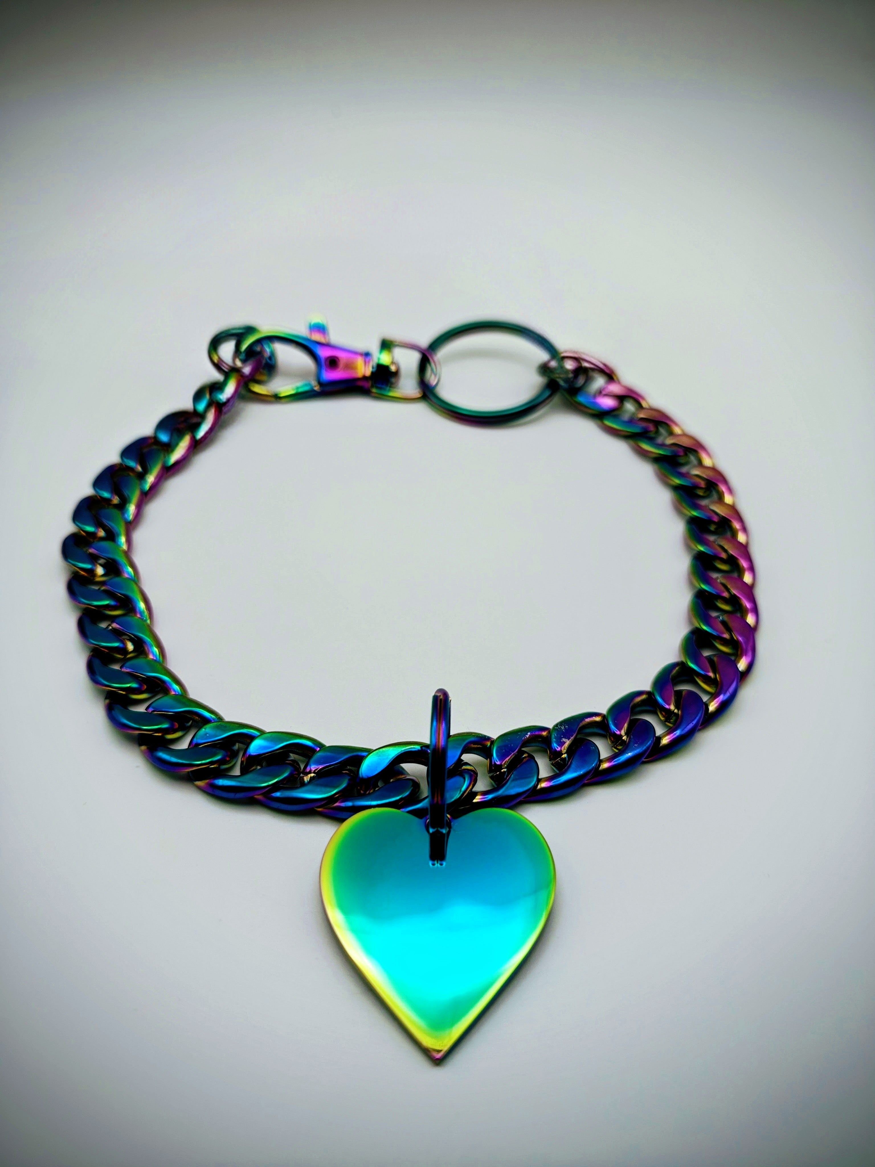 Custom Engraved Stainless Steel Dog Collar – Multicolor Chain and Tag