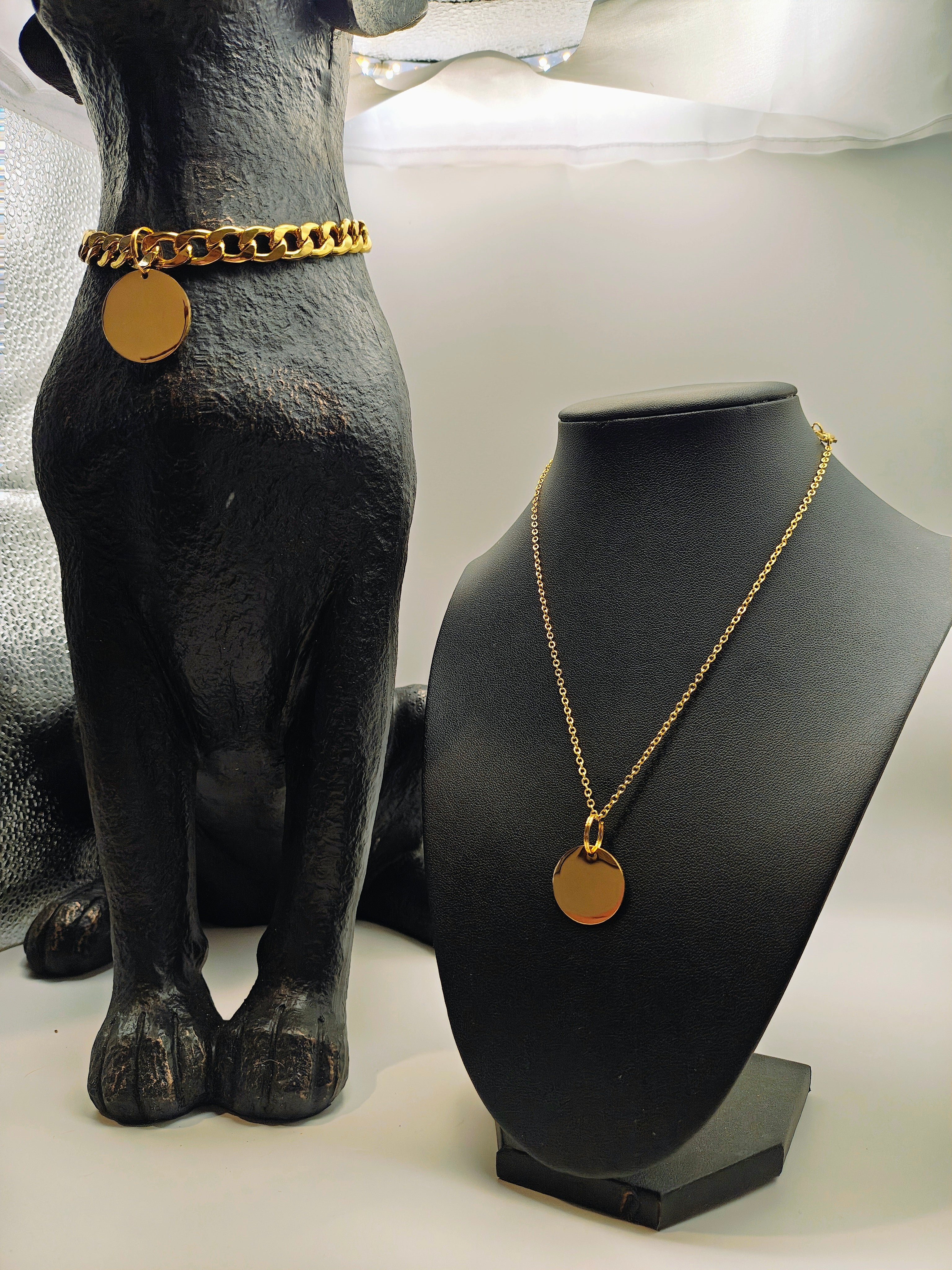 Matching Pet & Owner Jewelry Set 🐾✨ | Personalized Engraved Necklace + Collar Tag