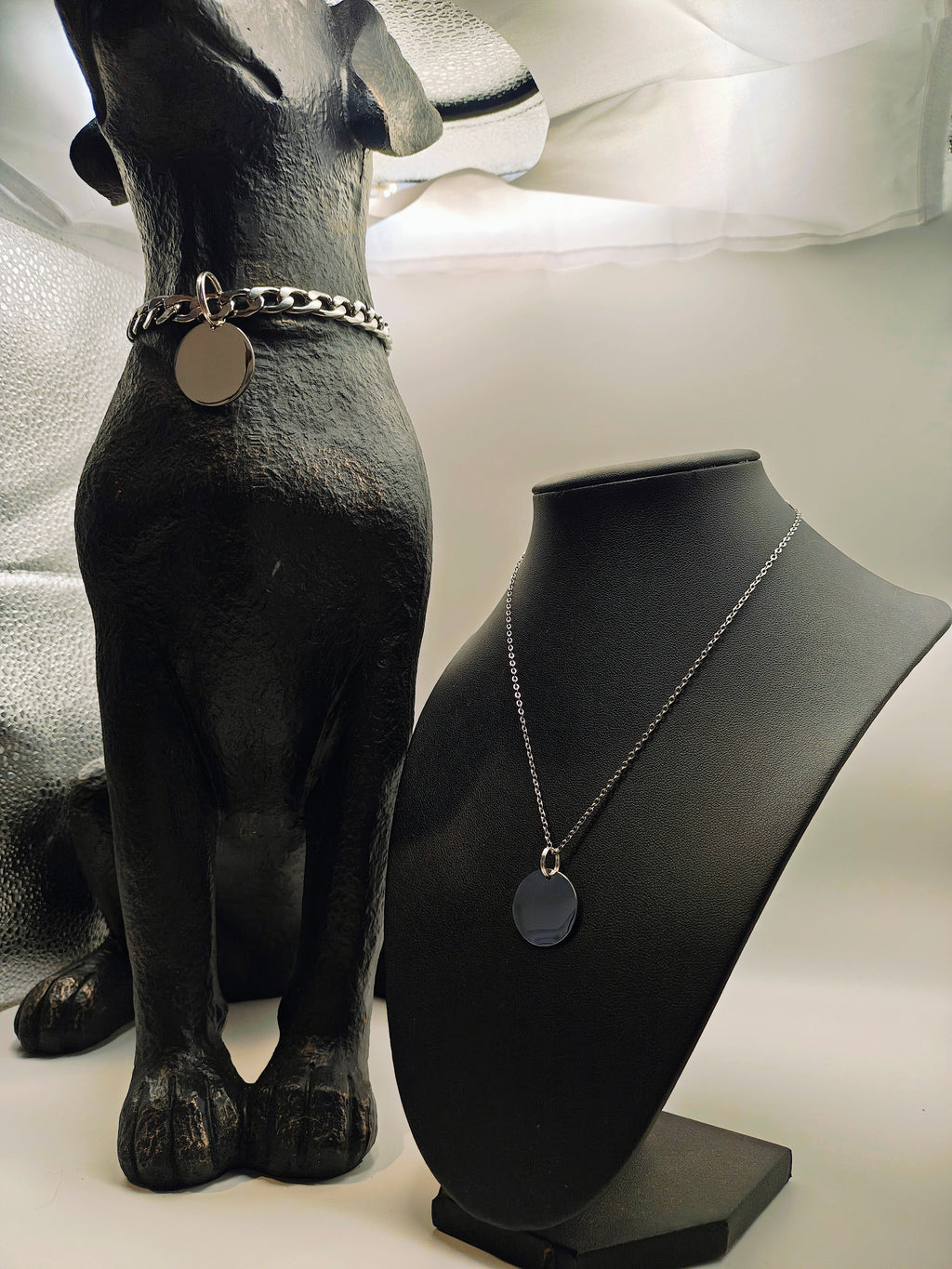 Matching Pet & Owner Jewelry Set 🐾✨ | Personalized Engraved Necklace + Collar Tag