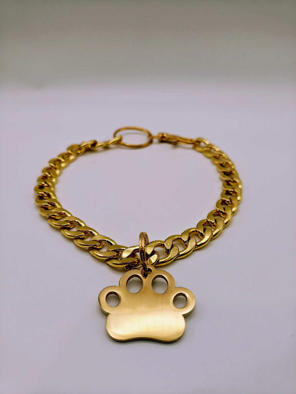 Custom Engraved Stainless Steel Pet Collar – Gold Chain and Tag