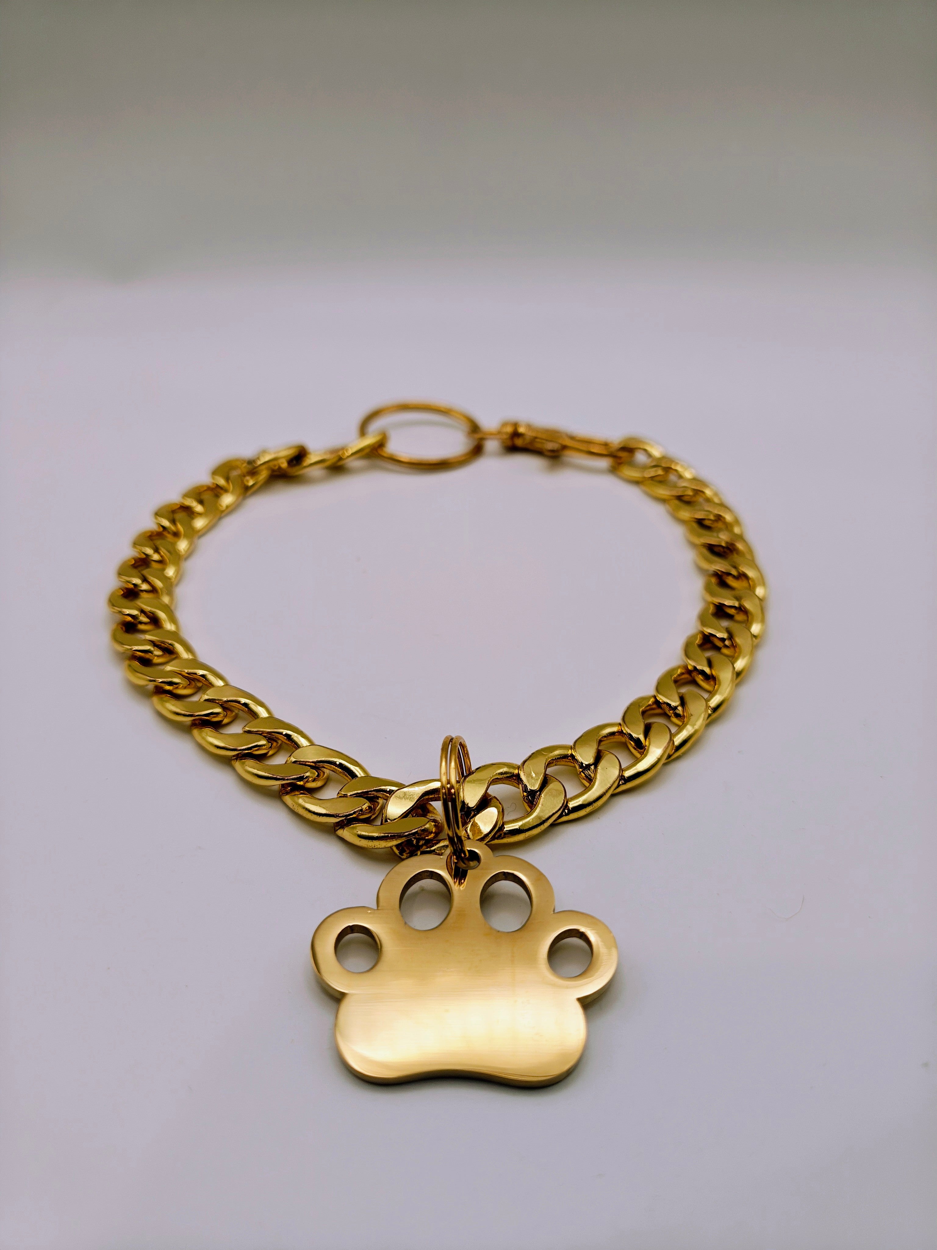 Custom Engraved Stainless Steel Pet Collar – Gold Chain and Tag