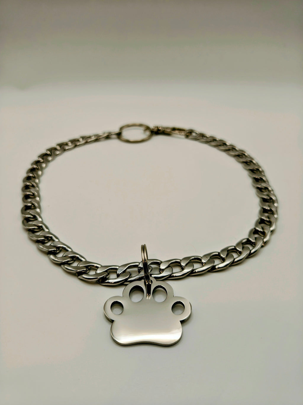 Custom Engraved Stainless Steel Pet Collar – Silver Chain and Tag