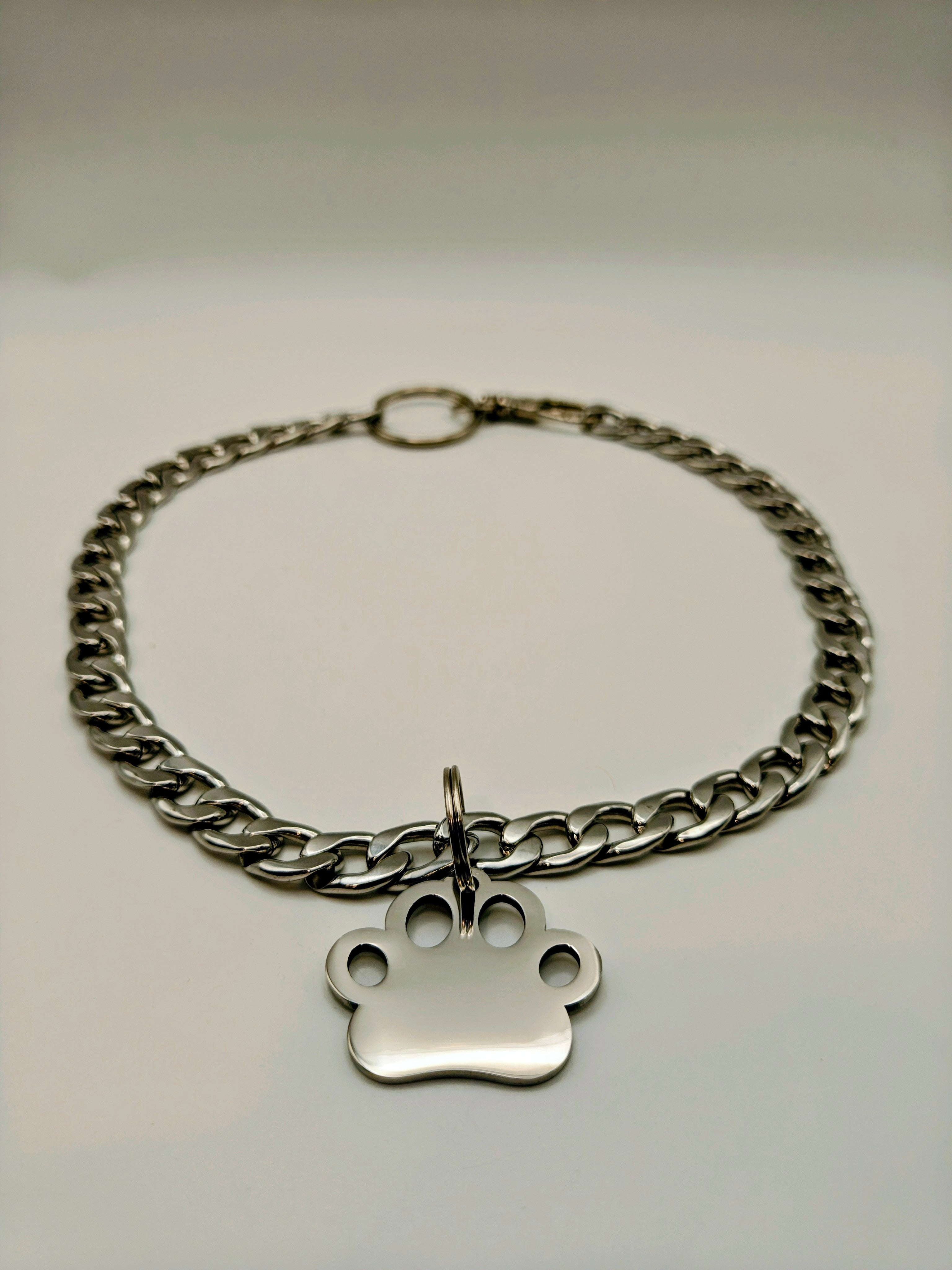 Custom Engraved Stainless Steel Pet Collar – Silver Chain and Tag