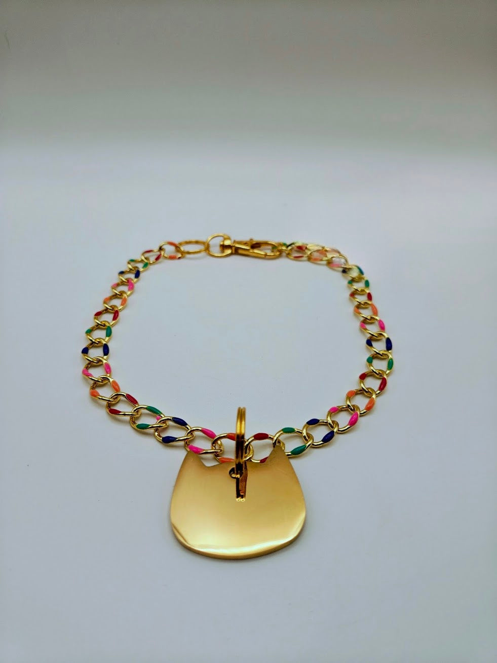 Custom Engraved Stainless Steel Pet Collar – Gold Colorful Chain and Tag