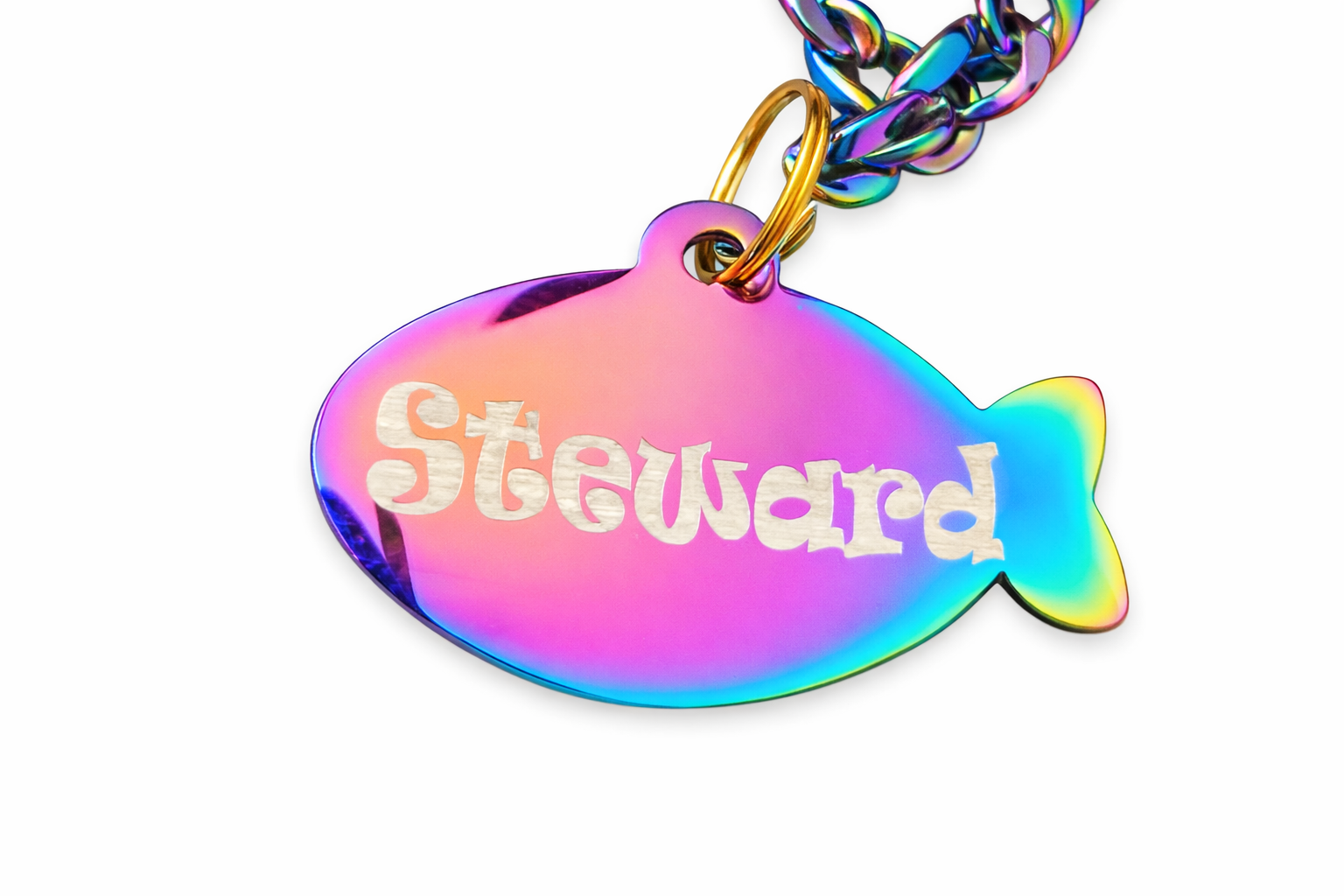 Custom Engraved Stainless Steel Pet Collar – Multicolor Chain and Tag