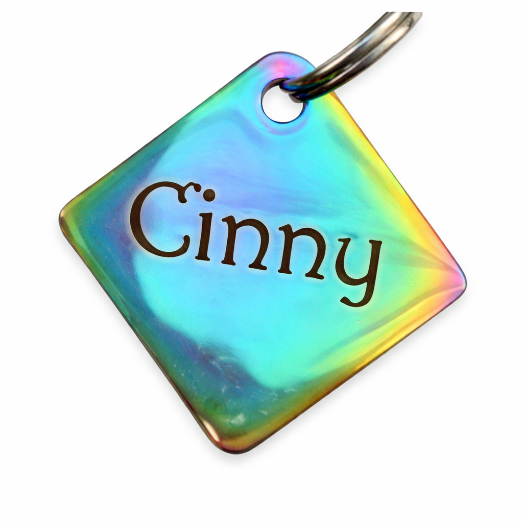 Custom Engraved Stainless Steel Pet Collar – Multicolor Chain and Tag