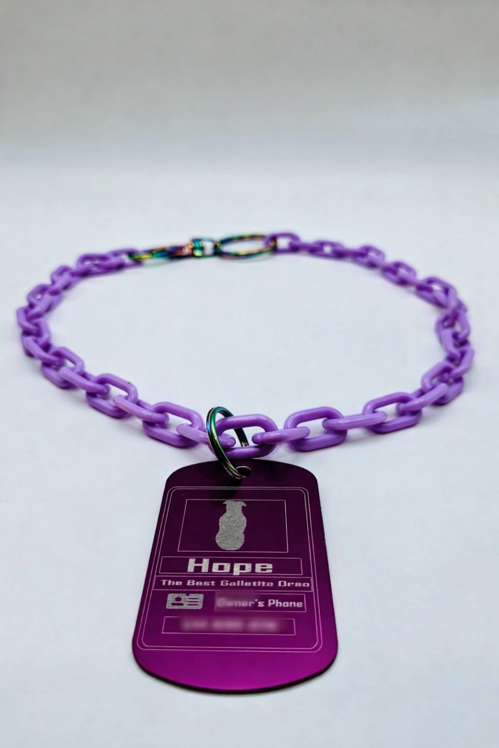 Official Engraved Pet ID Badge 🪪🐾 + Free Matching Collar Included 🎁