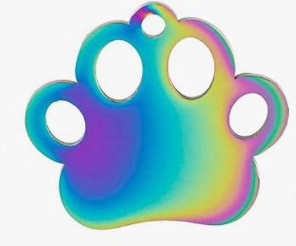 Custom Engraved Stainless Steel Pet Collar – Multicolor Chain and Tag